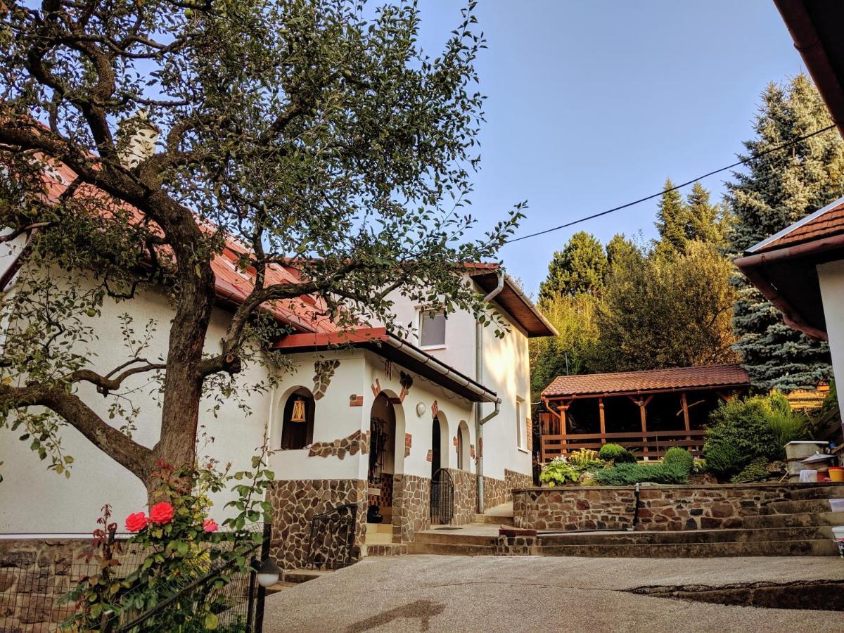 Apartmán The Magical Paths Kremnica Exteriér fotografie