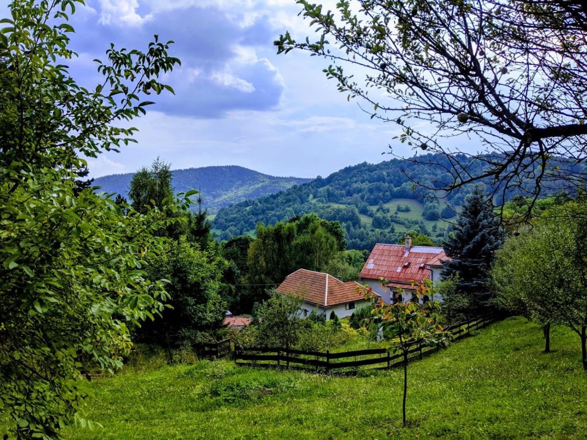 Apartmán The Magical Paths Kremnica Exteriér fotografie